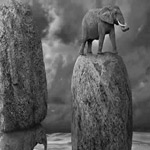 �� ��� ��� ����� �����