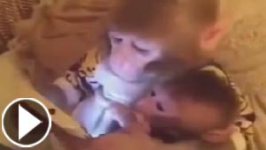 فيديو مذهل: قرد يحضن ابنه ويعلمه كيف يستخدم الكمبيوتر!