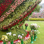 ������ ���� ������ :)