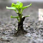 �� ���� ���� ����� ���