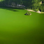 ����� ��� - ��������