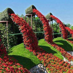 ���� ����� �����