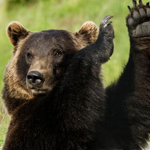 ����� ������� :-)