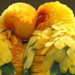 ������ �� 