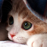 ���� �� ��� ������ :-)