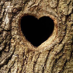 ����� �����