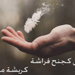 ������ ����� �������