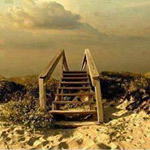 ���� ������ �� ������ �����