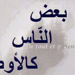 ��� �����  ������ ���