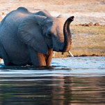 ����� ������ ..����