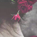 ����� ��� ���