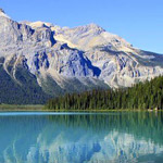 ����� ������� - ����