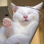 �� �� ���� ������