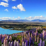 ���� ��� ������� ���