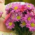 ���� ���� ��� ��� �� �� ������