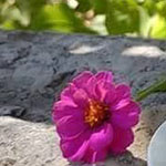 ����� �������� �� ���� ������� �����.