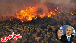 ��� ������� �� ������ ������� ��� ��� �� ������� ���� ���� ������ ��� �����