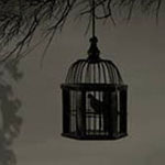 ������ ���� ���� �� ����� ����� �� ������� �����