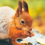 ��� ��� �� ���� ����