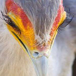 ���� ���� ���� ���� ������ �� ������ ���� �� �������