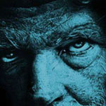 ���� ��� ���� ���� �������