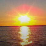 ����� ���� ����� ���� ����� �������