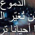 ������ �� ���� ������