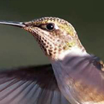 �� ��� ����� �� ���� ���� ���� �����