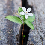 ���� �� ���� ���� �� ������