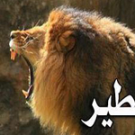 �������� ���� ���� ����� ����