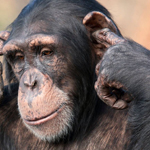 �� ���� .. �� ���.. �� �����