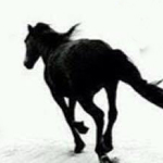 �� ���� �� ���� ���� ���� �� ������� �� �� �����