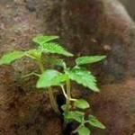 ���� ���� �������� ���� 