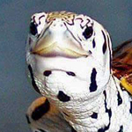 ��� ����� ��������� �� ������ �� ������ ��� ���� ������� �����