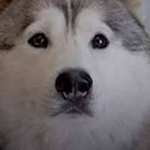 �� ����� ��� ����� .. �� ��!!