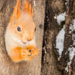 ���� �����..