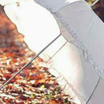 �� ���� �� ������� ! �� ��� ���� ����...