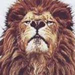 �� ��� �� ������ ���� �������