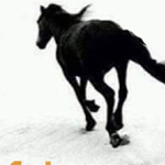 �� ���� �� ���� ���� ���� �� ������� ��� �� ����� �� �� �� �����