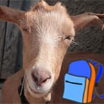 ���� �� �� ����: ����� �������� ���� ������ ����� �� ����� ��� �����  ..