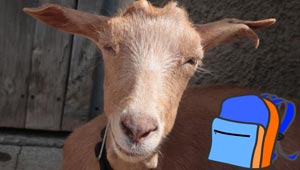 �� � �� �� ����: ����� �������� ���� ������ ����� �� ����� ��� ����� ������!