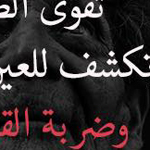 ���� ������ ���� ������ ����� ������ ���� �����