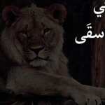 ���� �� ������� ����� ��� ���� ����� ��� ���