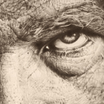 ��� ��� �� ���� ��� ����� �� ����� ��� ����