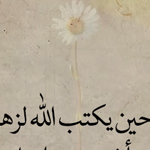 ��� ���� ���� ����� �� ���� �����  ���� �����