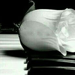 ������ ����� ������� �� �� ����� ��� �������� ������