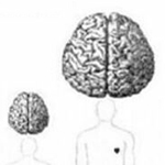 �� ���� ���� ���� ���� ����