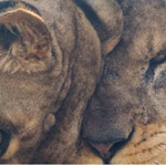 ���� ���� ���� ����� ���� ��� ����