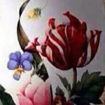 ���� �������