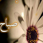 ���� ����� �������